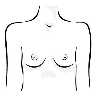 Athletic breasts shape